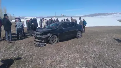 Van’da otomobil ağaca çarptı: 7 yaralı