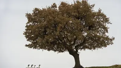 Tunceli&#x27;nin Aşağı Doluca Köyü doğal güzellikleriyle göz kamaştırıyor
