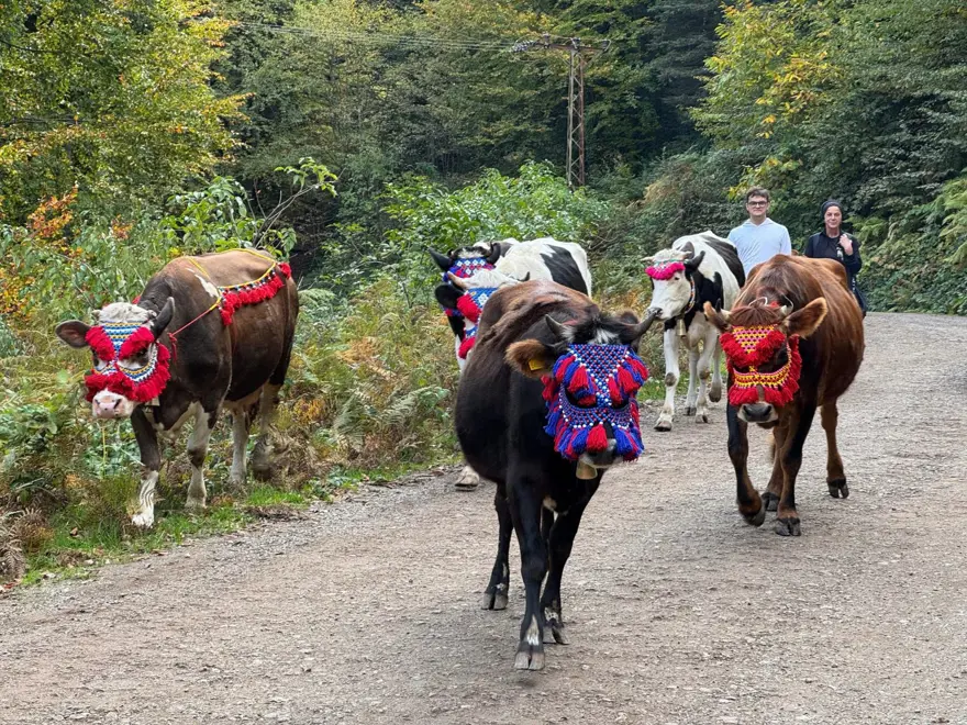 Asırlık gelenek sürdürülüyor: Renkli dönüş şöleni 2 Asırlık gelenek sürdürülüyor: Renkli dönüş şöleni 2