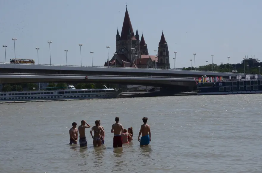 Avusturyalılar, serinlemek için Tuna Nehri'ne akın etti 