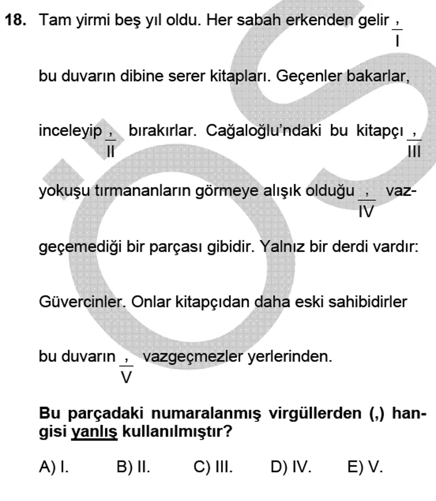 YGS Türkçe Soru ve Yanıtları 17