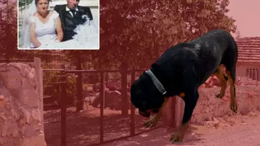 Köpek toprağı eşeledi, cinayet ortaya çıktı