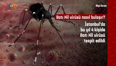 Bilgi Ekranı: Batı Nil virüsü nasıl bulaşır?
