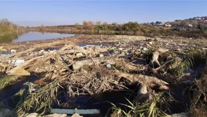 Büyük Menderes Nehri çöplüğe döndü Büyük Menderes Nehri çöplüğe döndü