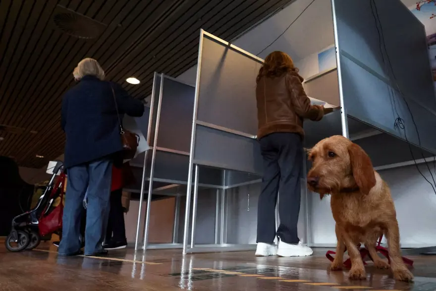 Hollanda'da yabancı düşmanı Wilders kazandı 19