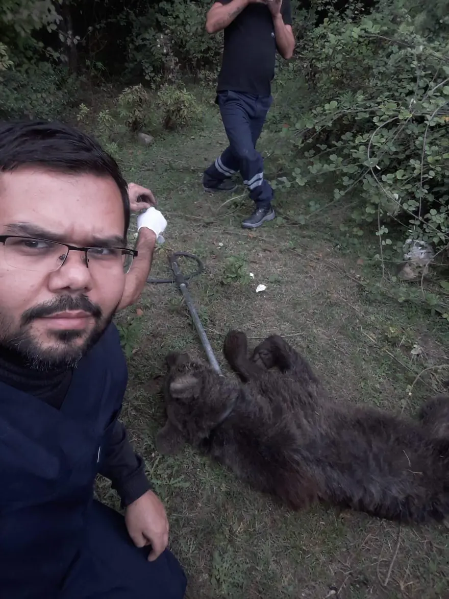 Ormanda çalışan işçilere ayı saldırdı 3