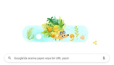 Google'dan yaz gündönümüne özel doodle (21 Haziran yaz gün dönümü nedir?)