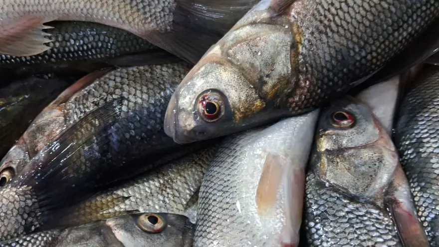 Tezgahlar şenlendi: Fiyatı uygun, ilgi ve talep arttı 2 Tezgahlar şenlendi: Fiyatı uygun, ilgi ve talep arttı 2