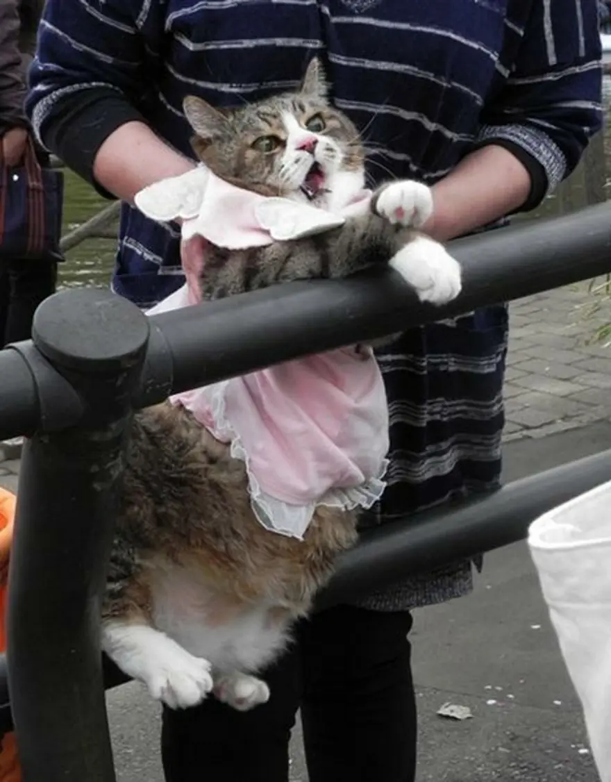 Bugün onların günü! 7