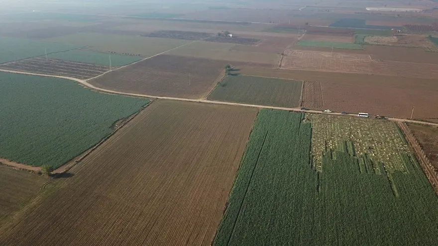 "PAZARA DA YANSIYOR" 2