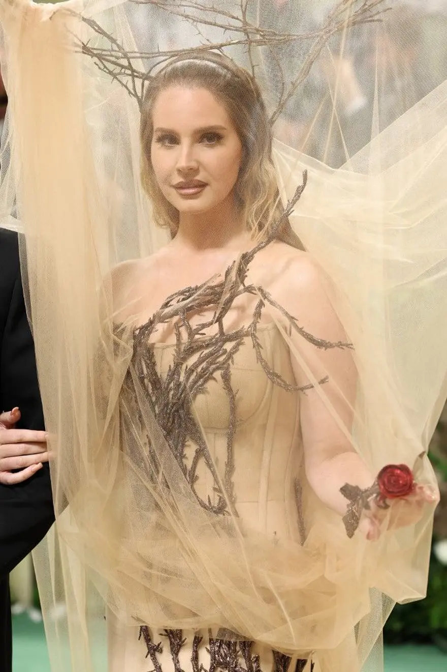 Modanın en büyük gecesi Met Gala'da şıklık yarışı 28