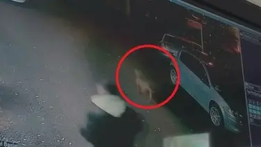 Cami avlusunda köpek saldırısı | Pitbull iki çocuğu yaraladı