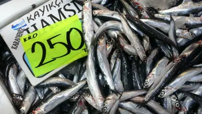 Balıkçılar bollukla karşılaştı: "Daha da iyi olacak"