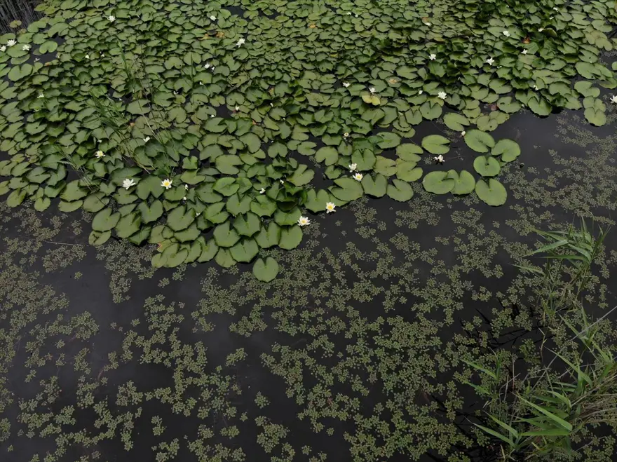 Trakya'nın saklı cenneti 'İğneada' ziyaretçilerini bekliyor: Üstelik İstanbul'a 3 saat uzaklıkta 19
