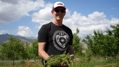 Coğrafi işaretli Bayburt tarhunu alıcı buldu: Amerika'ya ihraç edilecek