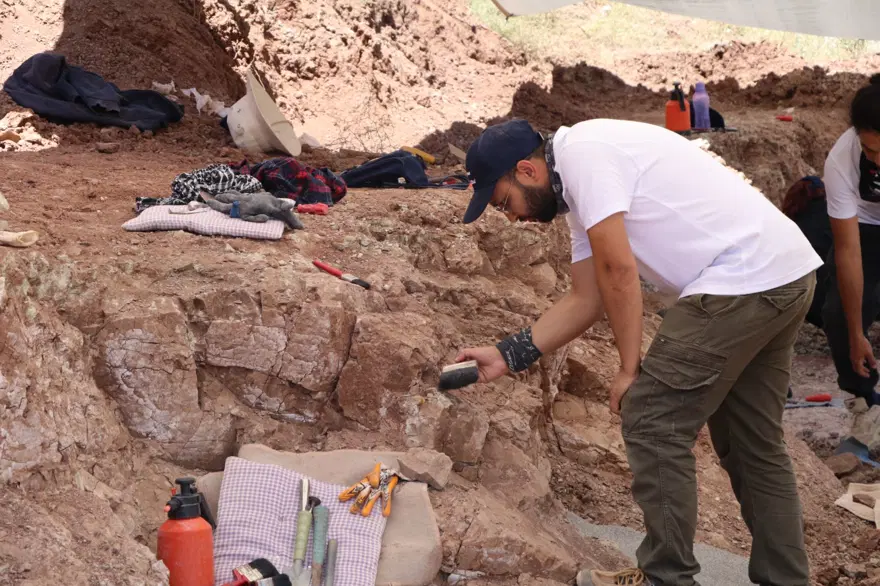'Çankırı'nın Jurassic Park'ında kazılar başladı: 9 milyon yıl öncesine ait hayvan fosilleri bulundu 3