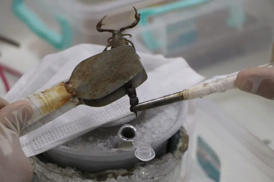 LİTRESİ 10 MİLYON DOLAR 4 LİTRESİ 10 MİLYON DOLAR 4