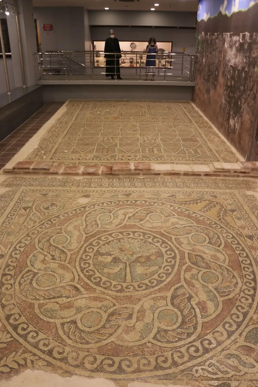 1800 yıllık elma mozaiği sergilenmeye başladı 6 1800 yıllık elma mozaiği sergilenmeye başladı 6