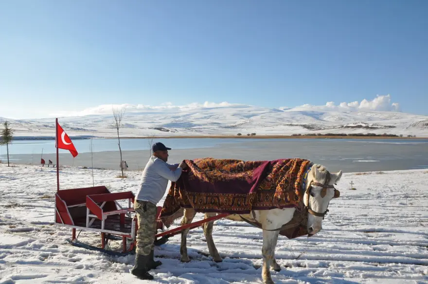 Çıldır Gölü kısmen dondu 1