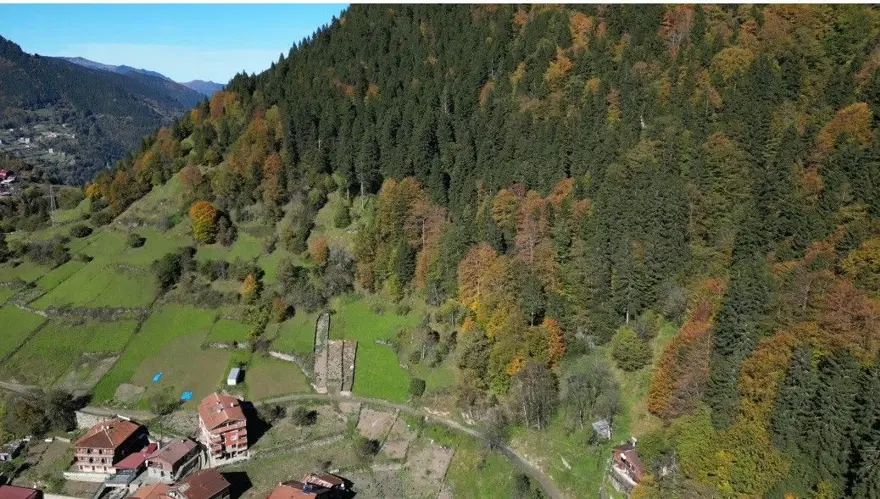 Uzungöl'de sonbahar güzelliği 6