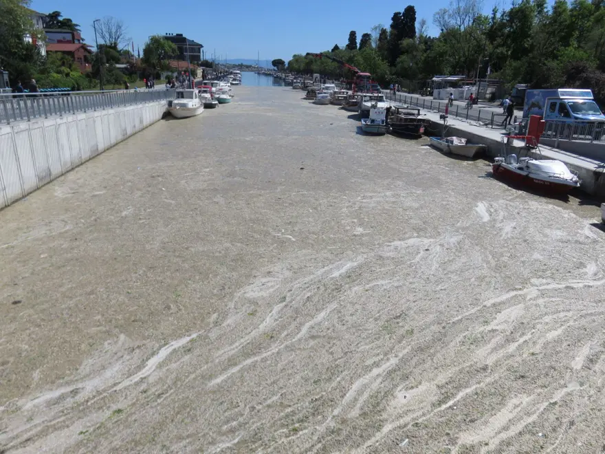 İstanbul'da Kurbağalıdere'yi de deniz salyası kapladı 1 İstanbul'da Kurbağalıdere'yi de deniz salyası kapladı 1
