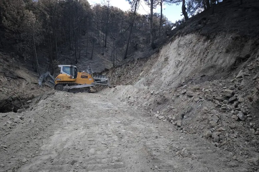 Bolu Göynük'teki orman yangınının yaraları sarılıyor 3