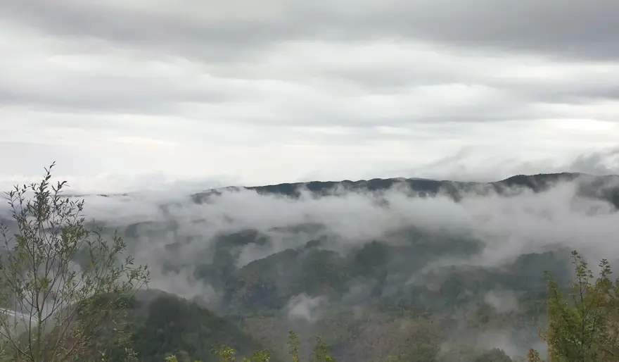 Bolu Dağı geçişinde yoğun sis: Görüş mesafesi 45 metreye düştü 5