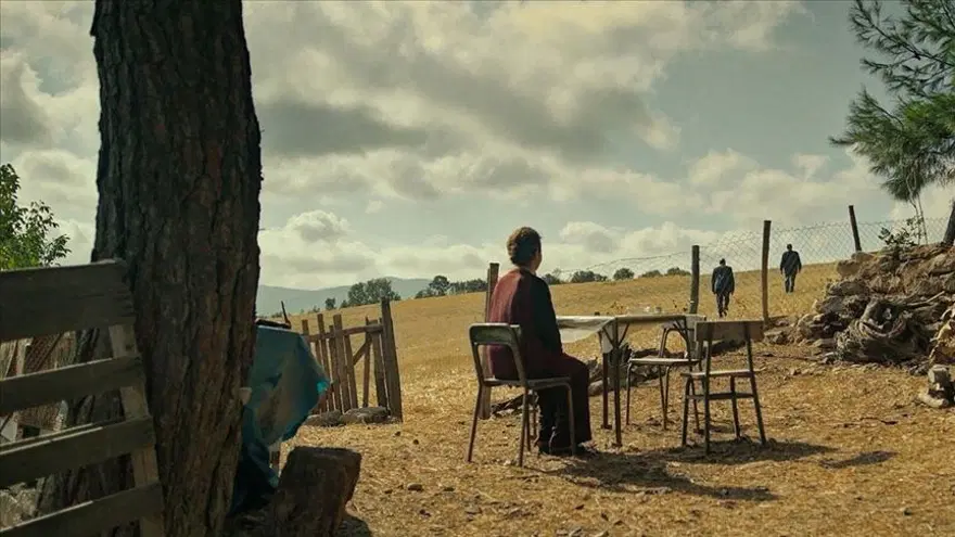 UluslararasıEn İyi Film Oscar'ında aday sayısı rekoru kırıldı 4
