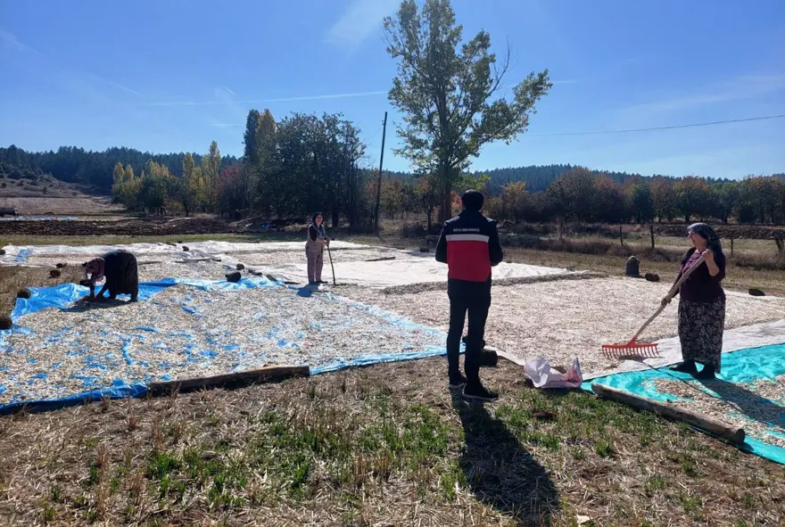 600 dekar alana ekilmişti: Kontrolleri yapıldı 1
