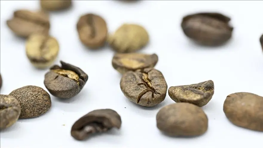 2015'ten beri kutlanıyor: Bugün Dünya Kahve Günü mü? Kahve Günü ne zaman kutlanır? 1