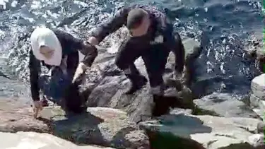 Kayalıkların arasına düştü, güvenlik kurtardı
