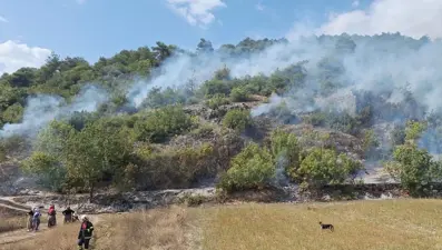 Tokat'ta orman yangını