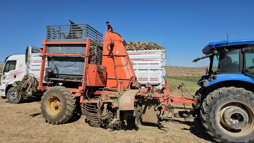 En önemli geçim kaynaklarından biri: Sabah saatlerinde sökümü başladı 1