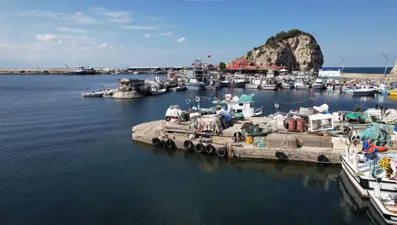 Bu yıl palamutu vurdu: Beklenenin altında kaldı