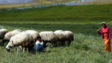 ‘Ünzile’ gerçek oldu