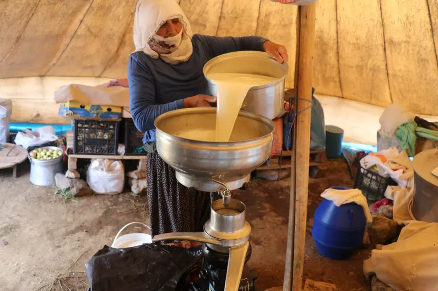 Tescilli Erzincan tulum peynirinin yayladan sofraya yolculuğu 2