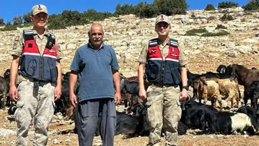 Kaybolan küçükbaş hayvanlar jandarma tarafından bulundu