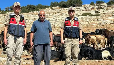 Kaybolan küçükbaş hayvanlar jandarma tarafından bulundu