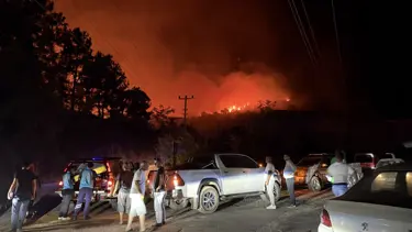 Antalya Alanya'da orman yangını: Çok sayıda ekip sevk edildi