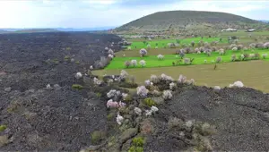 Türkiye'nin jeoparkı geçmişten geleceğe yolculuğa çıkarıyor: Kula-Salihli Jeoparkı