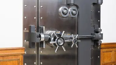 Dünyanın en güvenli kasası: Yıllık kirası 124 milyon TL!