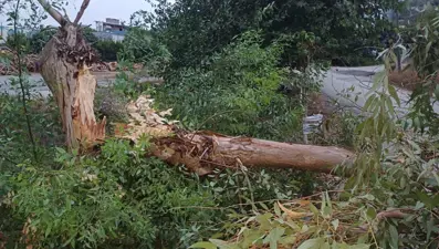 Osmaniye'de kuvvetli sağanak ve fırtına etkili oldu