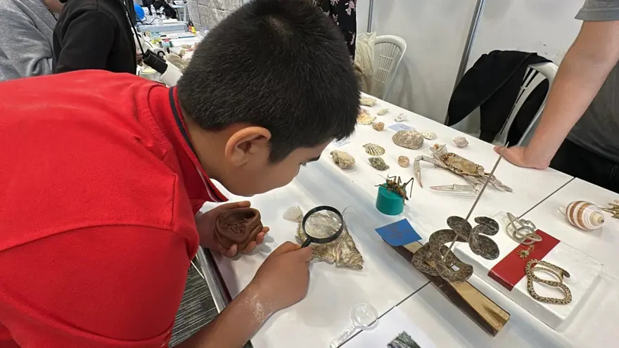 Ailesiyle birlikte 5 bine yakın fosil topladı: 12 yaşında müze kurdu 6 Ailesiyle birlikte 5 bine yakın fosil topladı: 12 yaşında müze kurdu 6