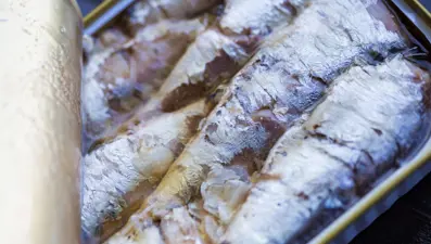 Genç kalmak için her gün yemeniz gereken 5 besin: Antioksidan, kolajen, C vitamini ne varsa onda!