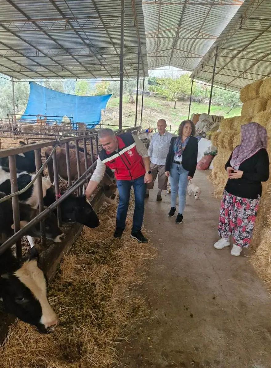 Kendi işletmesini kurdu: 25 büyükbaş hayvanla başladı Kendi işletmesini kurdu: 25 büyükbaş hayvanla başladı