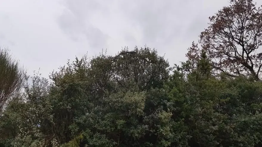 "BÖYLE DEHŞET BİR YILAN YOK" 4