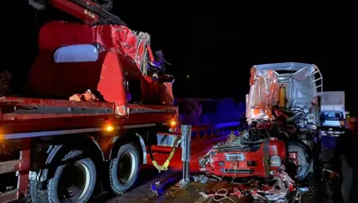 Lastik tamiri için beklerken canından oldu