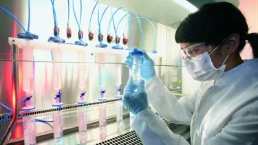 Melanomda yaşam süresini uzatıyor