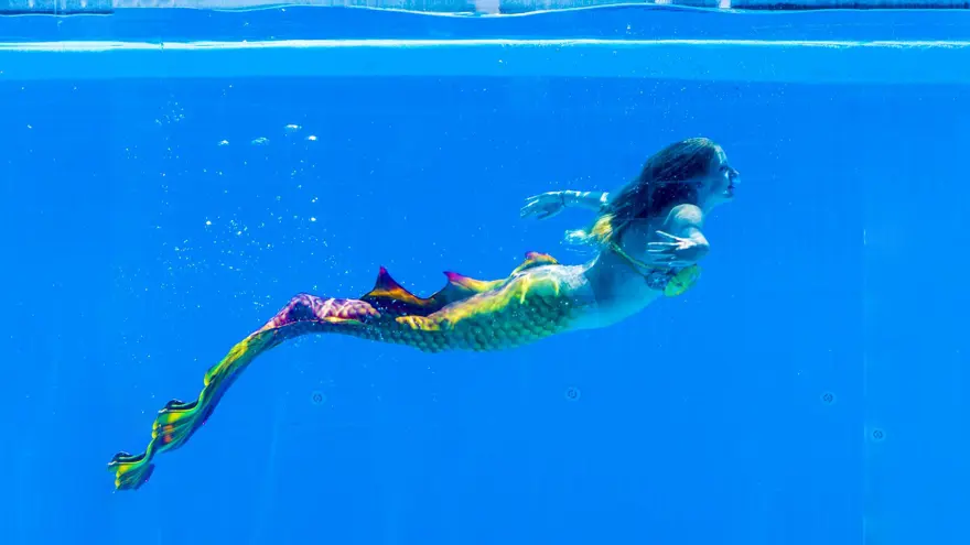 Yunus şovunun yerini deniz kızları aldı 6