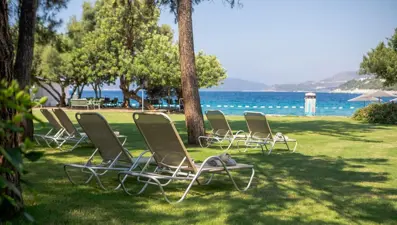 "Her yer ofis" Bodrum'dan dünyaya yayılacak